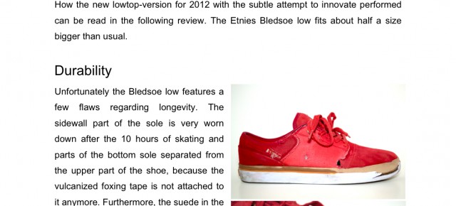 Etnies Bledsoe Low review